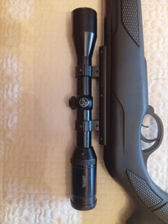 Pues eso, vendo un visor Zeiss Conquest 3-9x40 y un visor swarovski Habicht 3-9x36.

Pido 300 euros + 21