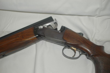 HOLA COMPAÑEROS PONGO A LA VENTA PERAZZI MX8 EN PERFECTO ESTADO LA VENDO POR CANBIAR DE MADALIDAD ESTA 01