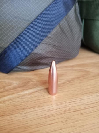 Vendo paquete de 100 puntas Prvi Partizan Hollow Point BT calibre .308 - 175 grains

35€ envio incluido

interesados 01