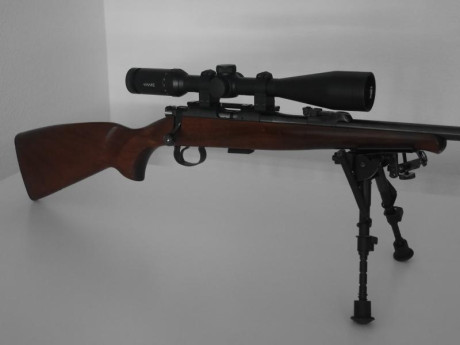 Vendo CZ452 2E ZKM más visor, bípode y funda

La carabina está en perfecto estado. La vendo por no usar. 00