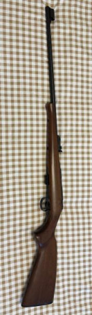 Hola amigos, estoy leyendo mucho pero por separado de nuestras queridas CZ | Brno del .22LR. Se podría 111