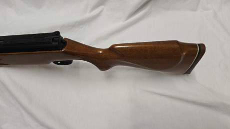 Ahora el turno de esta Diana 48
Impecable de estado y funcionamiento
Calibre 4,5 Potencia sobre los 23j 02