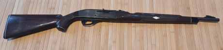 SE VENDE ARMA DE COLECCIÓN 250 EUROS Carabina Remington Nylon 66 semiautomática calibre .22 LR, famosa 02