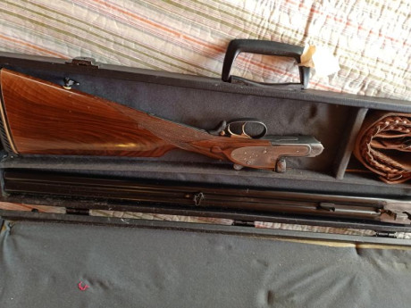 HOLA COMPAÑEROS PONGO A LA VENTA ESCOPETA PARALELA UNION ARMERA HOY LLAMADA GRULLA 212  DEL 12 UNA ESCOPETA 00