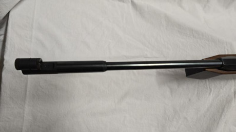 Pongo en venta esta preciosa Feinwerkbau 300s
Esta perfecta de madera y metal y su rendimiento es maravilloso
400€, 02