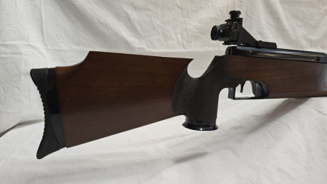 Pongo en venta esta preciosa Feinwerkbau 300s
Esta perfecta de madera y metal y su rendimiento es maravilloso
400€, 10