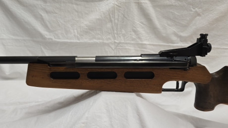 Turno para esta maravillosa Diana 75 para tirador zurdo
Para quien conozca el sistema Giss nada que contar 01