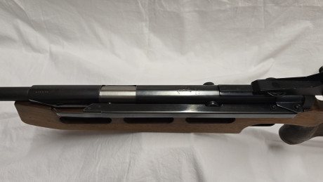 Turno para esta maravillosa Diana 75 para tirador zurdo
Para quien conozca el sistema Giss nada que contar 21