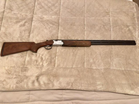 Buenos días,

Quiero iniciarme en el tiro al plato. Me podéis aconsejar escopeta superpuesta?

He visto 82