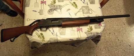 Vendo escopeta de corredera Winchester SXP Field 12
Se encuentra en la intervención de armas de Alcañiz, 02