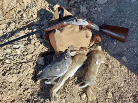 Hola compañeros . Compraría paralela calibre 20 de fabricación nacional 11