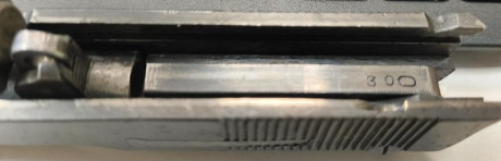 Para empezar este post quisiera expresar mi agradecimiento a algunos compañeros del foro que de una forma 20