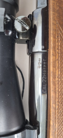 Se vende rifle marca Ruger calibre 22HORNET es estado impecable casi a estrenar. 
Se entrega con visor 01