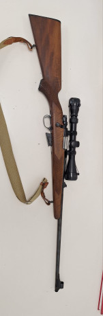Se vende rifle marca Ruger calibre 22HORNET es estado impecable casi a estrenar. 
Se entrega con visor 00