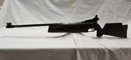 Pues, si es raro ver una de estas, no te digo nada dos... en la misma semana

Diana 75 T01 zurda
Sistema 00