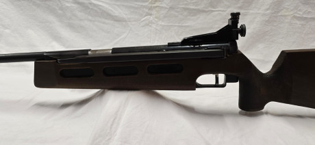 Pues, si es raro ver una de estas, no te digo nada dos... en la misma semana

Diana 75 T01 zurda
Sistema 21