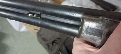 Escopeta del año 1941, calibre 12/70, en buen estado, ajusta perfecta, sin picado en los cañones, 66cm 01