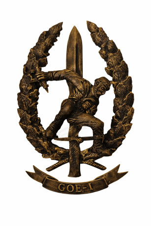 COMPRO METOPAS DE LOS GOE I - II - III - IV - V - VI Y DE LAS COES 02