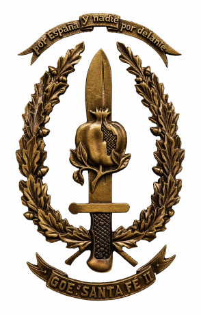 COMPRO METOPAS DE LOS GOE I - II - III - IV - V - VI Y DE LAS COES 10