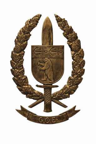 COMPRO METOPAS DE LOS GOE I - II - III - IV - V - VI Y DE LAS COES 30