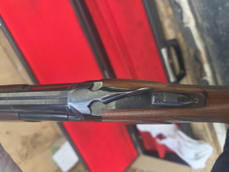 Vendo una escopeta Super Lamber, como de estreno, con anima 18´4, largo de cañón 70cm., selector de tiro 10