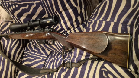 Vendo rifle de cerrojo Cz Brno Fox 222rem con monturas warne máxima desmontables de 30mm y visor Tasco 02