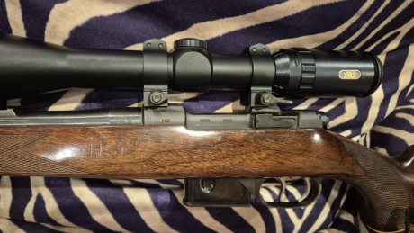 Vendo rifle de cerrojo Cz Brno Fox 222rem con monturas warne máxima desmontables de 30mm y visor Tasco 01