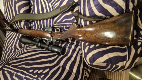 Vendo rifle de cerrojo Cz Brno Fox 222rem con monturas warne máxima desmontables de 30mm y visor Tasco 22