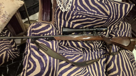 Vendo rifle de cerrojo Cz Brno Fox 222rem con monturas warne máxima desmontables de 30mm y visor Tasco 20