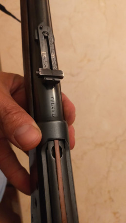 Buenas tardes 

Porque se aburre en el armero, he decidido poner a la venta este rifle marca Tigre del 20