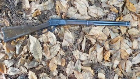 Buenas tardes 

Porque se aburre en el armero, he decidido poner a la venta este rifle marca Tigre del 31