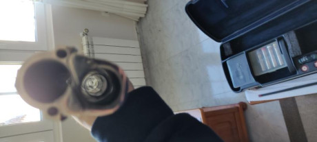 Se cede Beretta 694 Sporting, cañón de 81, con 5 chokes originales y 3 a mayores. También incorpora 2 61