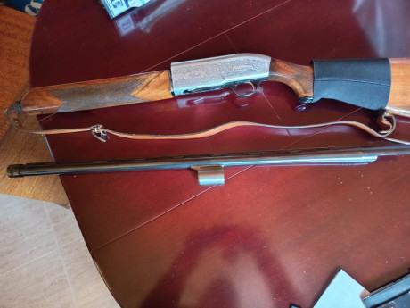 Se vende escopeta repetidora marca Beretta modelo 202,está bastante bien cuidada ,tiene señales del paso 00