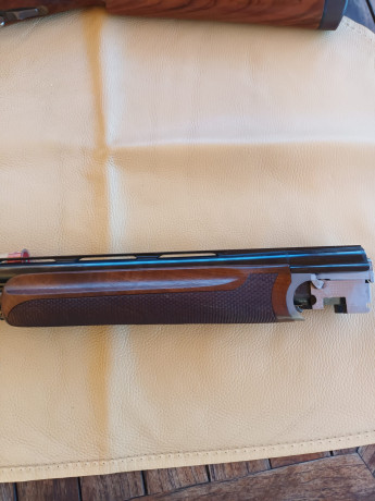En Venta escopeta de Trap Caesar Guerini. Cañón de 76, Gatillo ajustable, buen estado general, Choques 01