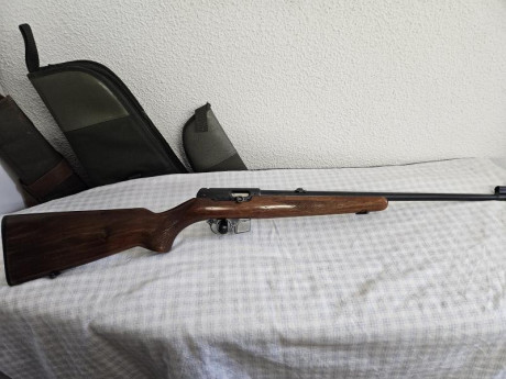 Brno semiautomática,  calibre 22 LR, en buen estado  con su correspondiente cargador. Alguna vez, las 02