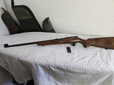 Brno semiautomática,  calibre 22 LR, en buen estado  con su correspondiente cargador. Alguna vez, las 00