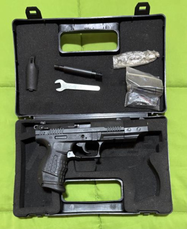 Vendo dos pistolas una P22 con dos cañones, dos cargadores y maletin de transporte, y una CZ85 con tres 01