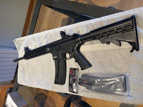 Se vende carabina con poco uso, lleva 2 cargadores, uno sin estrenar, se encuentra en Barcelona para ver 22