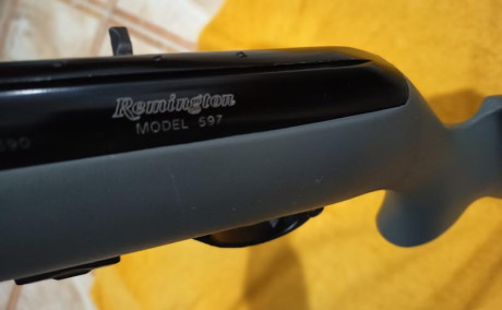 Se Vende esta carabina Semi-automática del Cal 22Lr.
La culata o armazón que soporta el arma es de material 50