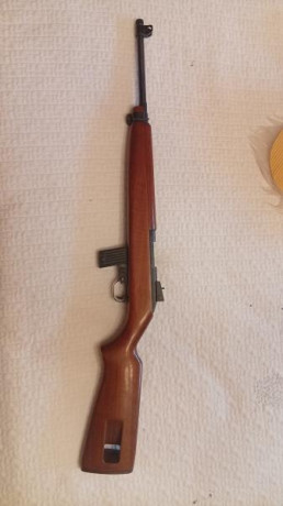 Buenas, vendo carabina alemana Erma modelo M1, en calibre 22 lr, en muy buen estado, con 1 cargador.
Precio 02