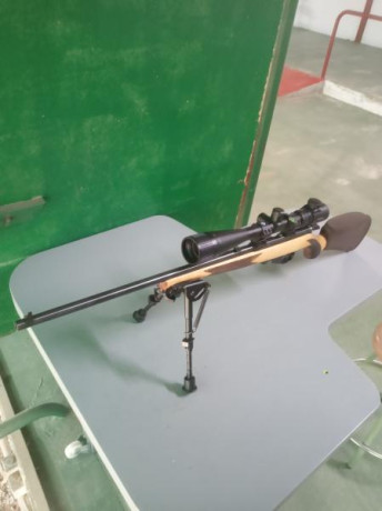 Buenos días tiradores,

Hace poco me hice con una Winchester Wildcat calibre 22LR que incluía un cargador 51