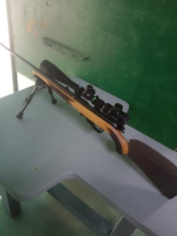 Buenos días tiradores,

Hace poco me hice con una Winchester Wildcat calibre 22LR que incluía un cargador 50