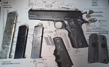 COLT 1991A1 cal. 45ACP,

 20260423_202035.jpg  20260423_202041.jpg  20260423_202307.jpg 

Incluye: cachas 02