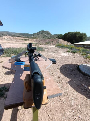 Buenas tardes, vendo rifle francotirador calibre 308, máxima calidad, con 1.200 disparos. Pido 1200 euros. 01