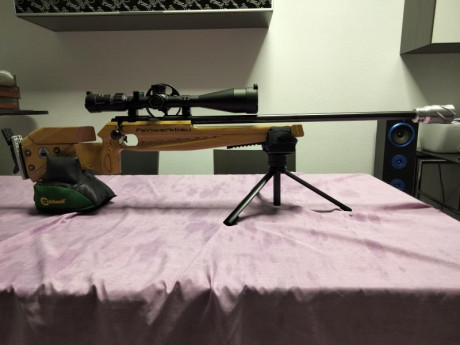 Para hacer sitio me desprendo de carabina 22LR  Feinwerkbau 2700 Universal con visor NikkoStirlig 10-40x56 81