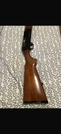 Benelli Premium Superligera cal. 12

Escopeta semiautomática Benelli Premium Superligera, calibre 12. 02