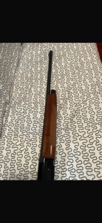 Benelli Premium Superligera cal. 12

Escopeta semiautomática Benelli Premium Superligera, calibre 12. 01