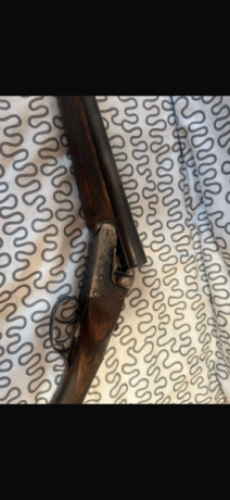 Escopeta paralela EGO cal. 12

Escopeta paralela marca EGO, calibre 12, fabricación española (Éibar). 00