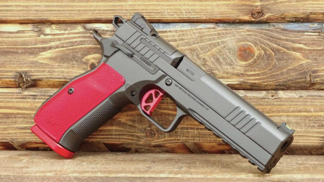 Hola compañeros.

Me he interesado por las CZ-75 y sus evoluciones, y por las 1911 y sus evoluciones con 120