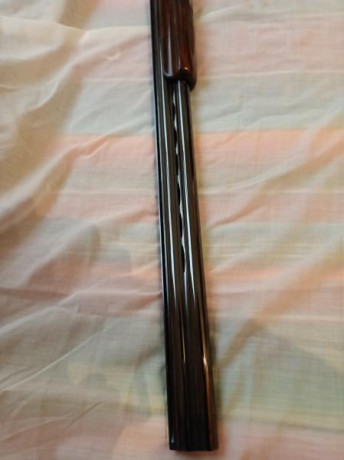 HOLA COMPAÑEROS PONGO A LA VENTA UNA MAGNIFICA ESCOPETA PARA EL TIRO AL PLATO 
UNA PERAZZI MX8 A ESTADO 00